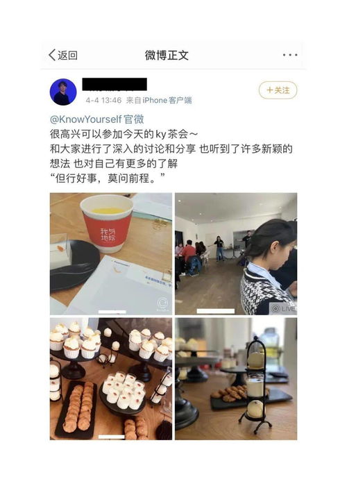 (绝对演绎茶会攻略表格)绝对演绎茶会攻略，品味雅致时光的必备指南